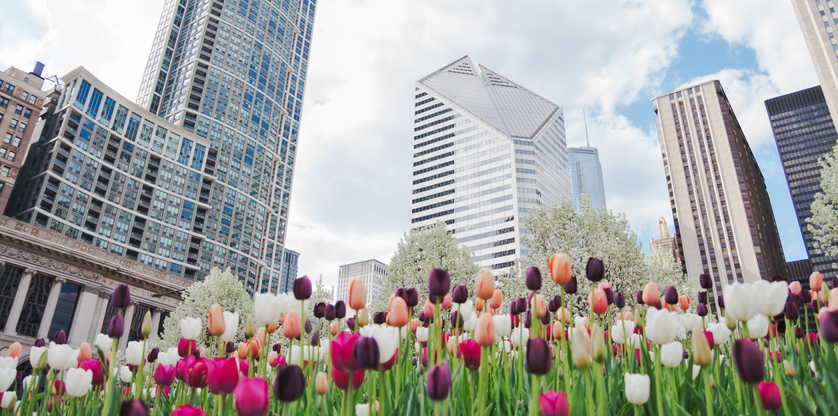 Springtime Cleaning at Commercial Real Estate